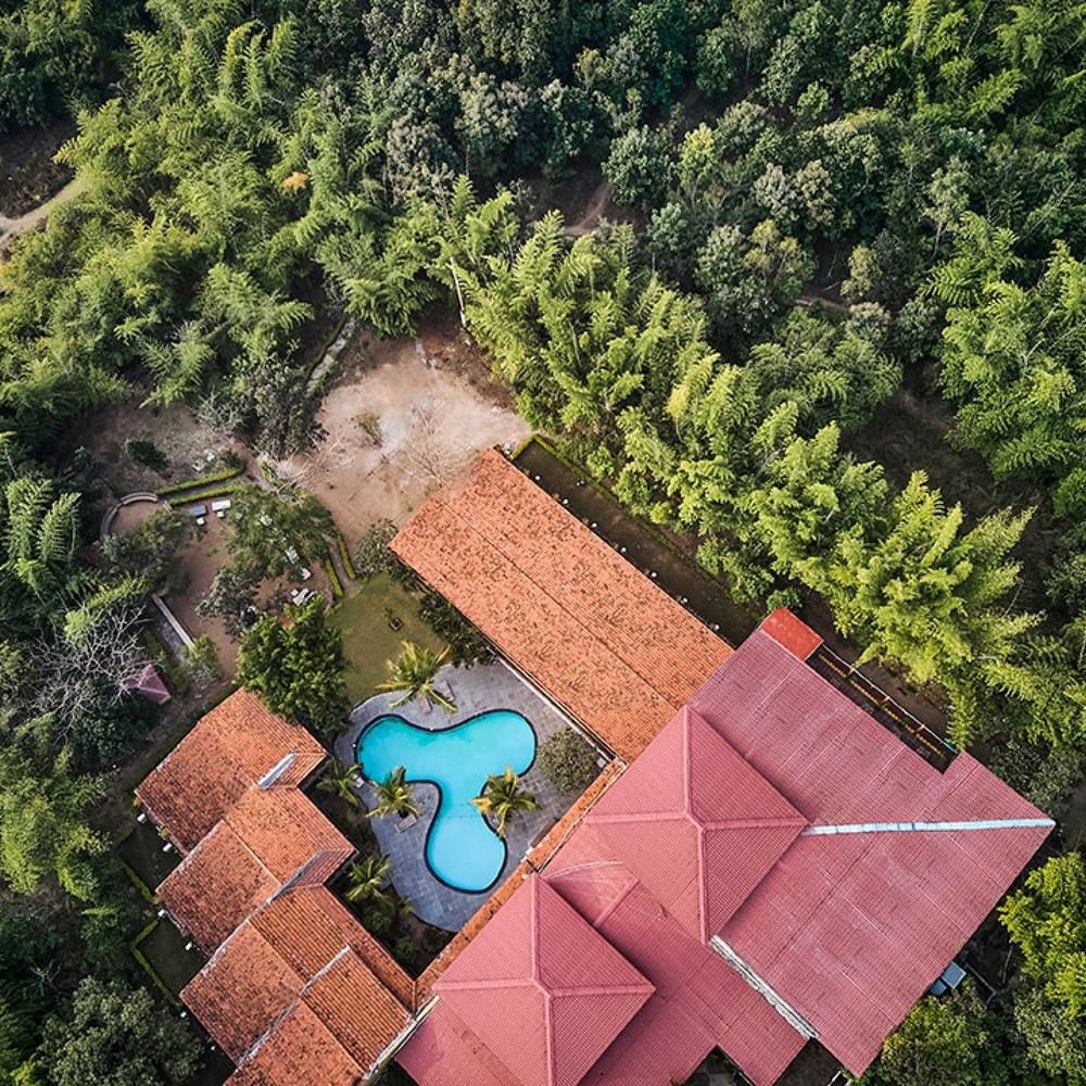 Cottages and pool within the canopy