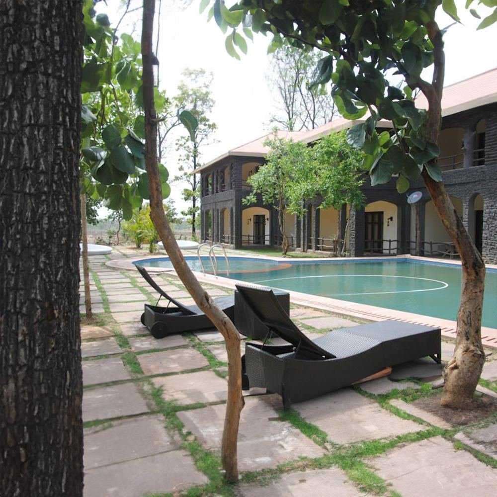 Pool deck under the trees