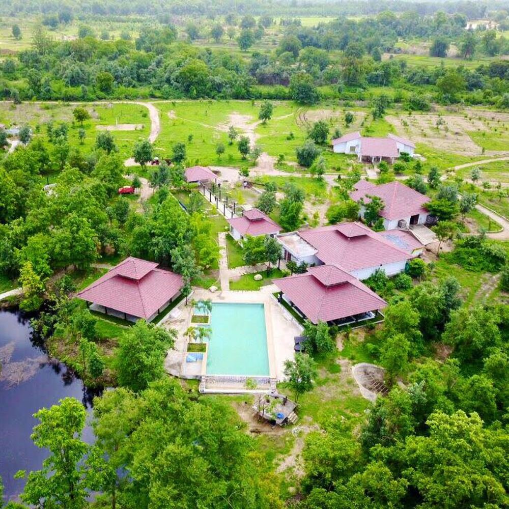 Cottages and pool within the forest